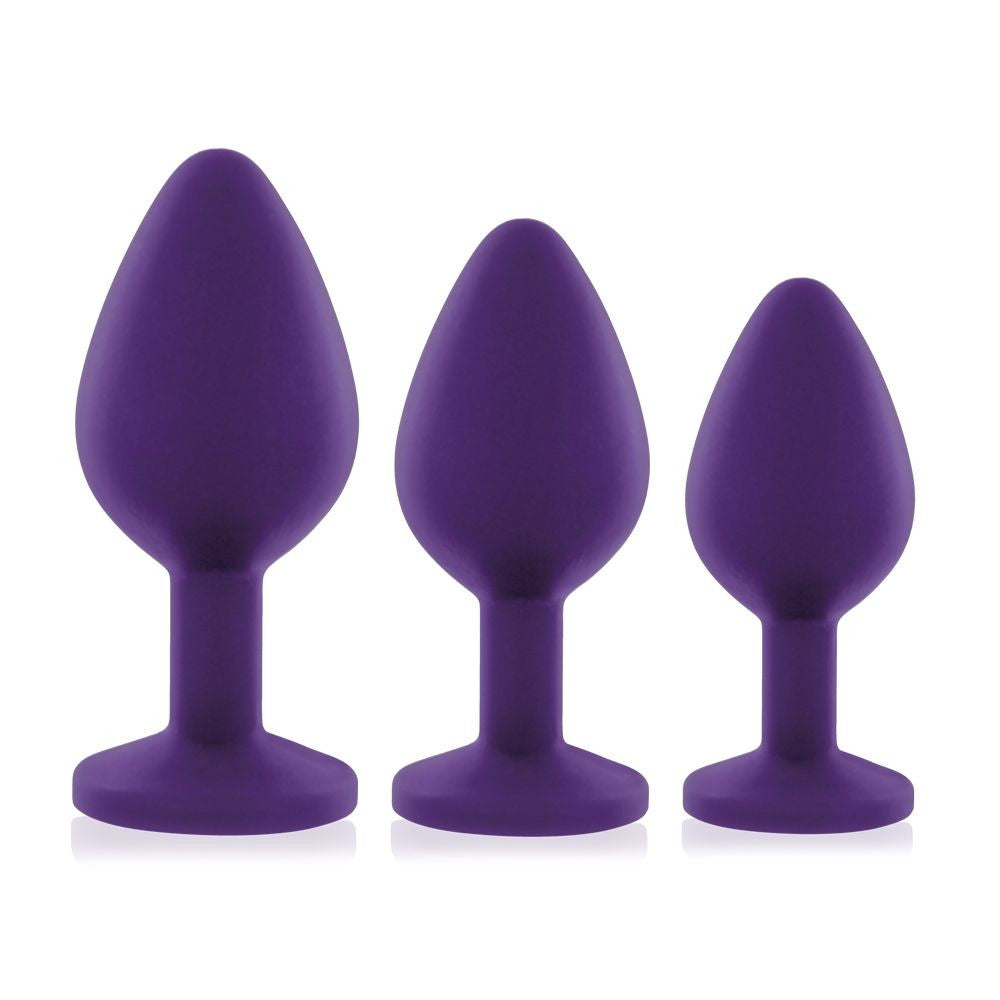 Coffret 3 plugs Booty - Violet