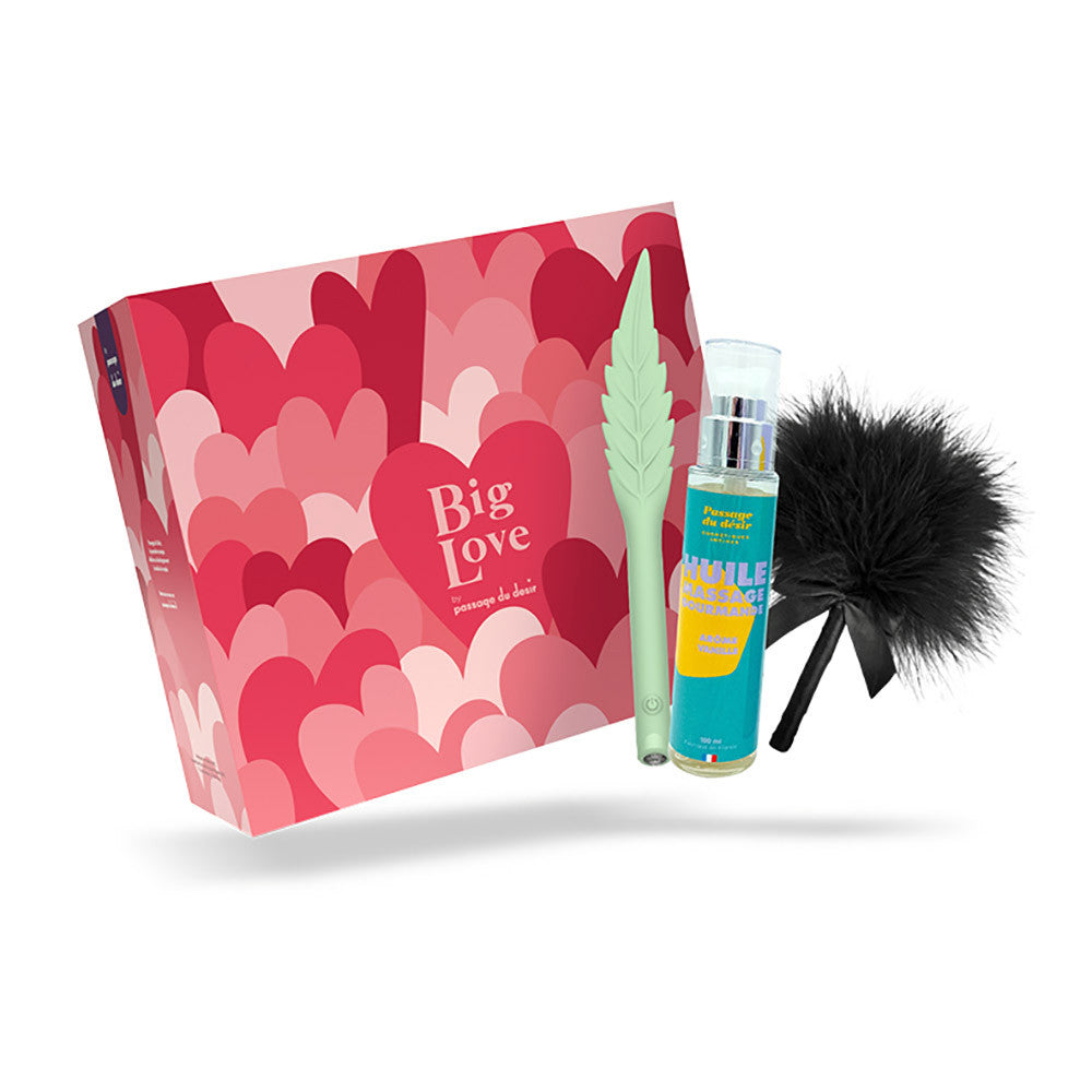 Coffret Big Love